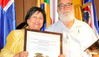 Designan nueva especie de rana con el nombre de la ministra de Educación Superior