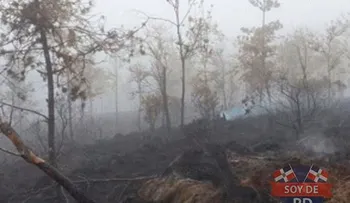 Medio Ambiente dice fuego en Constanza está en "etapa de control"