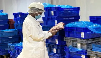 RD seguirá exportando carnes a EE. UU. tras auditoría que revalida la calidad en los procesos