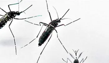 Afinan estrategias para evitar avance del Zika en Anzoátegui