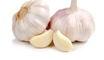 Coloca un pedazo de ajo en esta parte de tu cuerpo en la noche y los resultados en tu salud serán en solo minutos 
