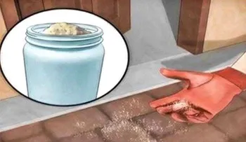 Estas son las razones por las que deberías tirar sal por toda tu casa