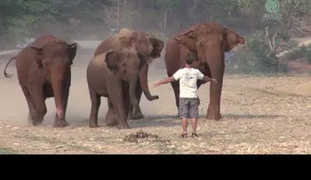 Un hombre grita en mitad de la selva, y lo que sucede te sorprenderá... (VIDEO)