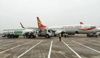 Un avión vuelve al aeropuerto en China tras hallarse una rata en la cabina