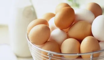 10 alimentos para combatir la anemia