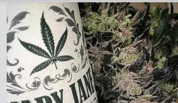 Crean un vino especial, combinado con marihuana