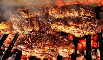 ¿La comida a la parrilla es adecuada para niños?