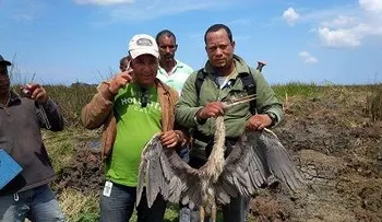 Hombre muere al caerle techo de una construcción en Santiago; otro se suicida