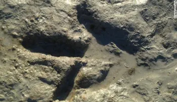 Bañista encuentra en la playa huellas de dinosaurio de 130 millones de años