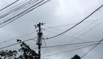 Erika no dejó muchos daños en el Este