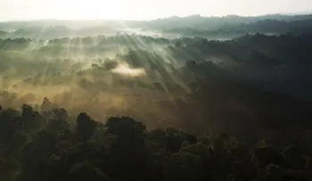 La razón por la que cada vez más turistas van a la Península de Osa en Costa Rica