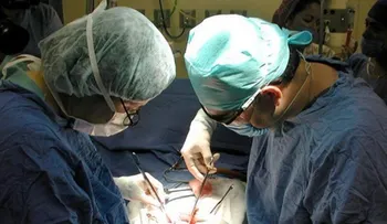 Cientos pacientes han muertos por negligencia en hospitales NYC
