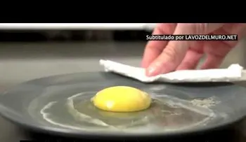 3 maneras cocinar un huevo en el microonda (Video)