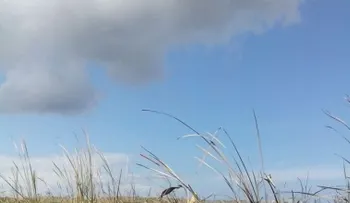Medio Ambiente informa que extingue   fuego forestal en Laguna Saladillo en Dajabòn 