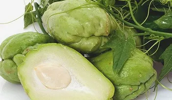7 beneficios de comer tayota: Para la anemia y perder peso 
