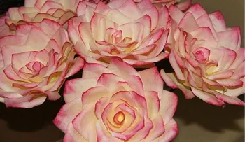 ¡Nunca botes los filtros de café, mira las preciosas flores que puede hacer ! 