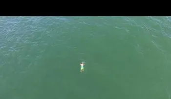 Huye de la Policía, salta al mar y se encuentra con un tiburón