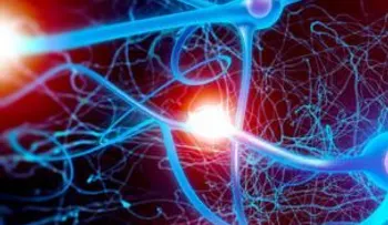 La creación de neuronas decrece a medida que envejecemos 