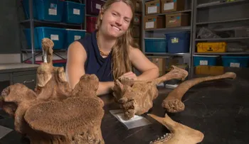 Norteamérica fue habitada 1.500 años antes de lo que se creía