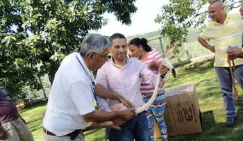 Medio Ambiente rescata 13 flamencos de una finca en Constanza