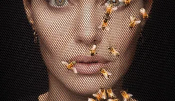 Angelina Jolie y su asombroso nivel de estudios alcanzado
