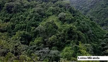 PRSC reitera â??Loma Miranda debe ser un Parque Nacionalâ?