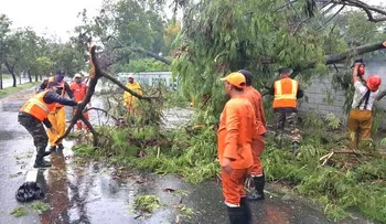 Brigadas del MOPC retiran ramas y escombros  de vías tras el paso de la tormenta Laura