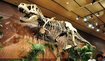 La â??mala suerteâ? causó la extinción de los dinosaurios