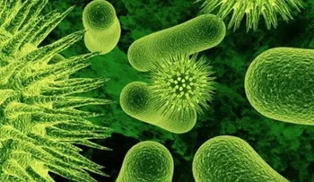 Amebiasis: síntomas y prevención de la enfermedad; 5 remedios caseros