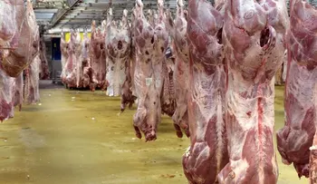 Un hombre roba 18 toneladas de carne en Pennsylvania