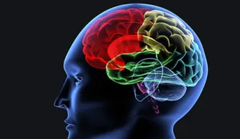Claves para mantener el cerebro joven 