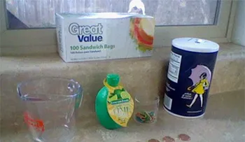Ella deja monedas en una bolsa llena de agua en su garage? ¿La Razón es GENIAL!
