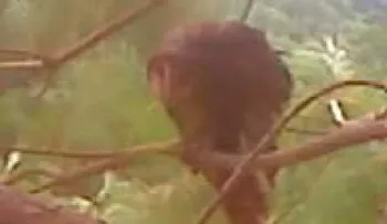 Impresionante!!! alegada bruja real en Huasteca!!!