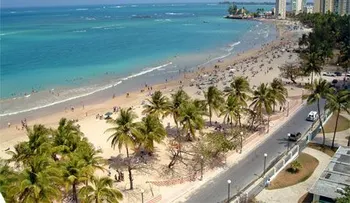 Turismo y Sichala rotularán vehículos de transporte AILA
