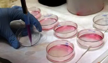 Científicos de Uruguay y EE.UU. prueban eficacia de droga contra la leucemia