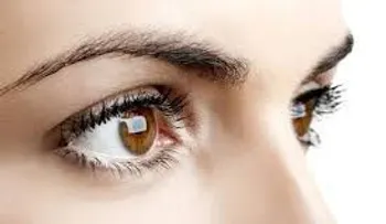 Descubren una mutación de un gen que causa la distrofia macular de la retina