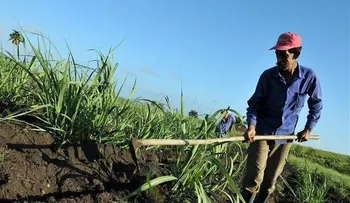 Colombia aumentará en un millón las hectáreas cultivadas hasta 2018