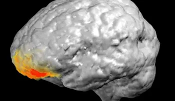 Médicos descubren cómo funciona el cerebro durante una revelación divina
