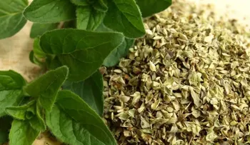 Orégano: El Poder Curativo Escondido en tu Cocina