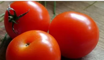 Conoce el superalimento contra la diábetes