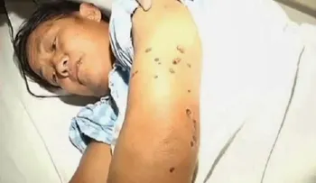 Una especie de avispa gigante mata 42 personas en chinaâ?¦..mira el video!!