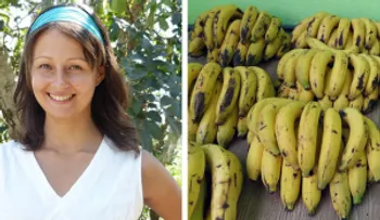Esta mujer comió solo guineos durante 12 días. Y esto fue lo que le pasó!
