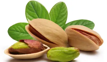 Cuida tu cabello y sácale el máximo partido al estilo natural