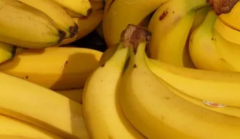 Sabroso batido de limón y cambur para olvidarte del cansancio
