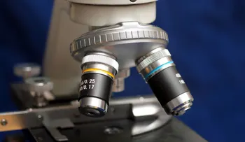  Identifican gen clave en respuesta inmunológica a infecciones y enfermedades 