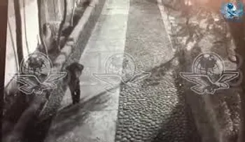 Captan al hombre que abandonó en la calle la maleta con la joven de 14 años que fue asesinada