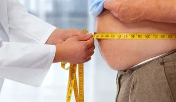 Descubren una proteína que actúa como interruptor para almacenar o quemar la grasa