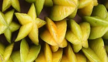 La carambola: Buena para dietas de adelgazamiento; posee propiedades laxantes 