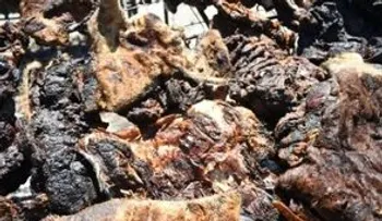 Uruguay bate el récord Guinness del asado más grande del mundo
