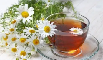 Imperdibles repelentes de insectos con ingredientes fáciles